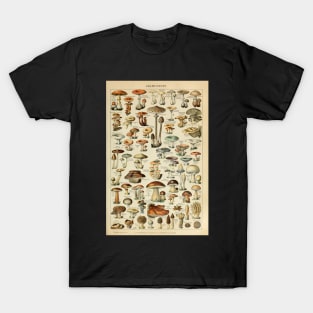 Adolphe Millot Fruits Champignons Chart Illustration - Mushrooms T-Shirt